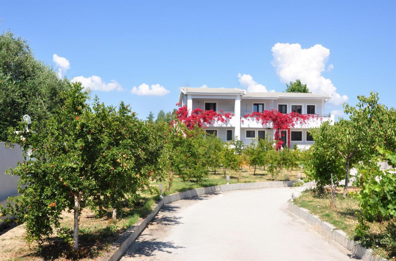 Nostalgia Apartments Zante Exteriör bild